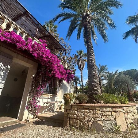 Apartament Les Palmiers Fréjus Zewnętrze zdjęcie