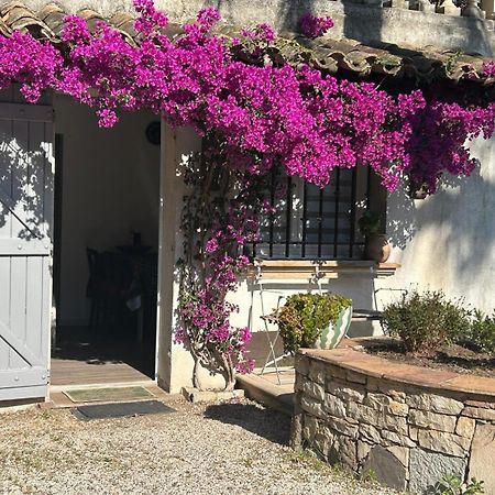 Apartament Les Palmiers Fréjus Zewnętrze zdjęcie