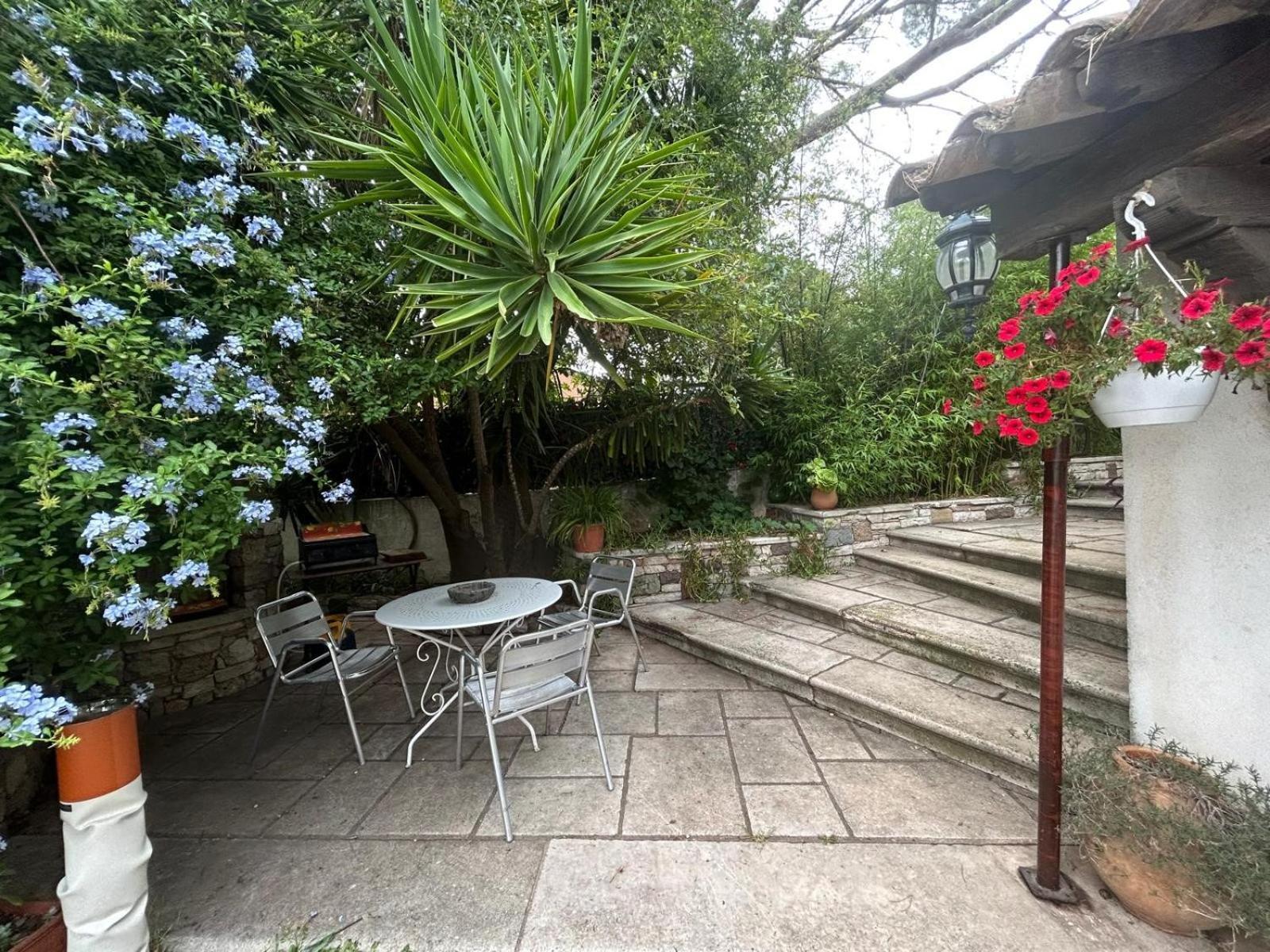 Apartament Les Palmiers Fréjus Zewnętrze zdjęcie