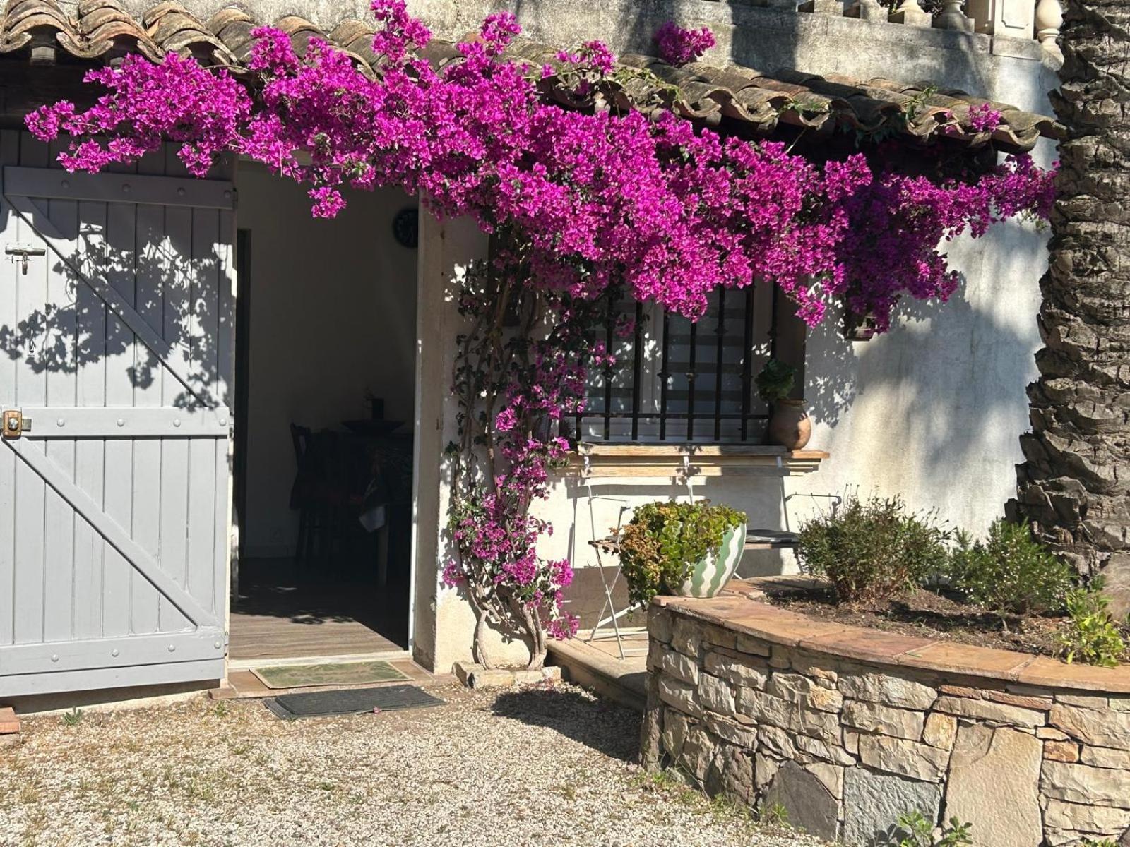 Apartament Les Palmiers Fréjus Zewnętrze zdjęcie